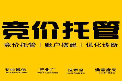 抖音广告投放成功案例：品牌如何崛起？